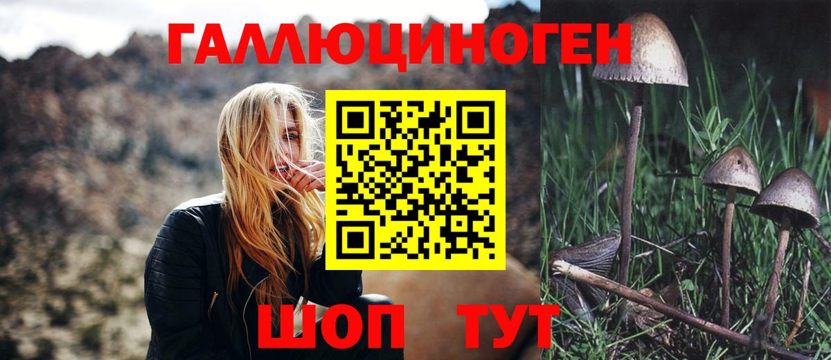 Галлюциногенные грибы Psilocybine cubensis  Вход с VPN  Майский 